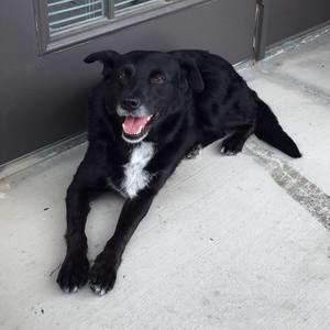 Meet your Posher, Debra